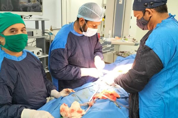 Dr. Jenit Gandhi 22