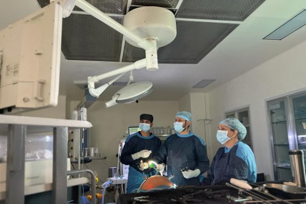 Dr. Jenit Gandhi 12